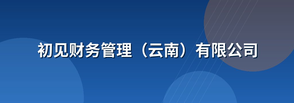 初见财务管理（云南）有限公司