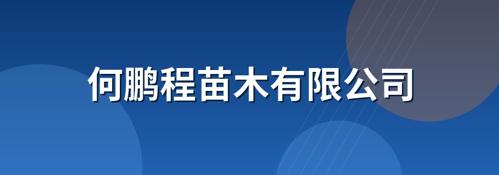 何鹏程苗木有限公司