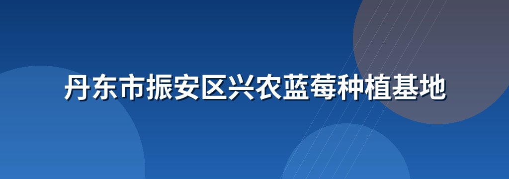 丹东市振安区兴农蓝莓种植基地
