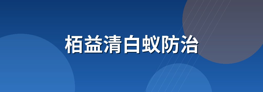 栢益清白蚁防治