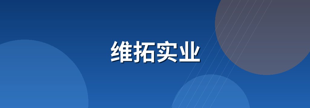 维拓实业