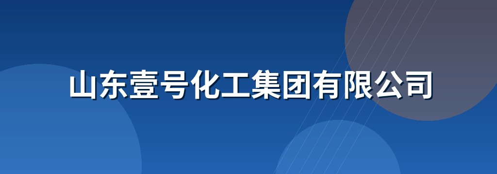 山东壹号化工集团有限公司